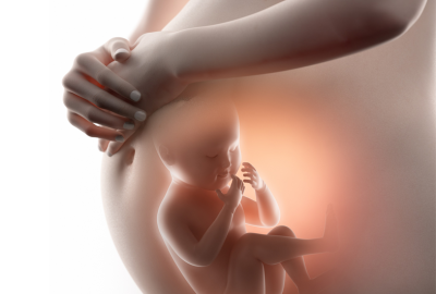 frozen-embryo-transfer